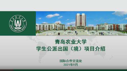 员工公派出国（境）项目介绍视频